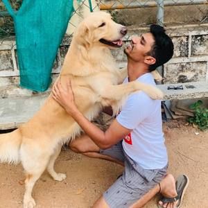 Meet your Posher, Sunny